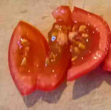 Les tomates sont-elles mûres lorsqu'elles sont sélectionnées?